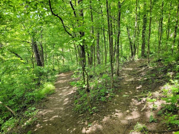 COMLARA Park Campgrounds