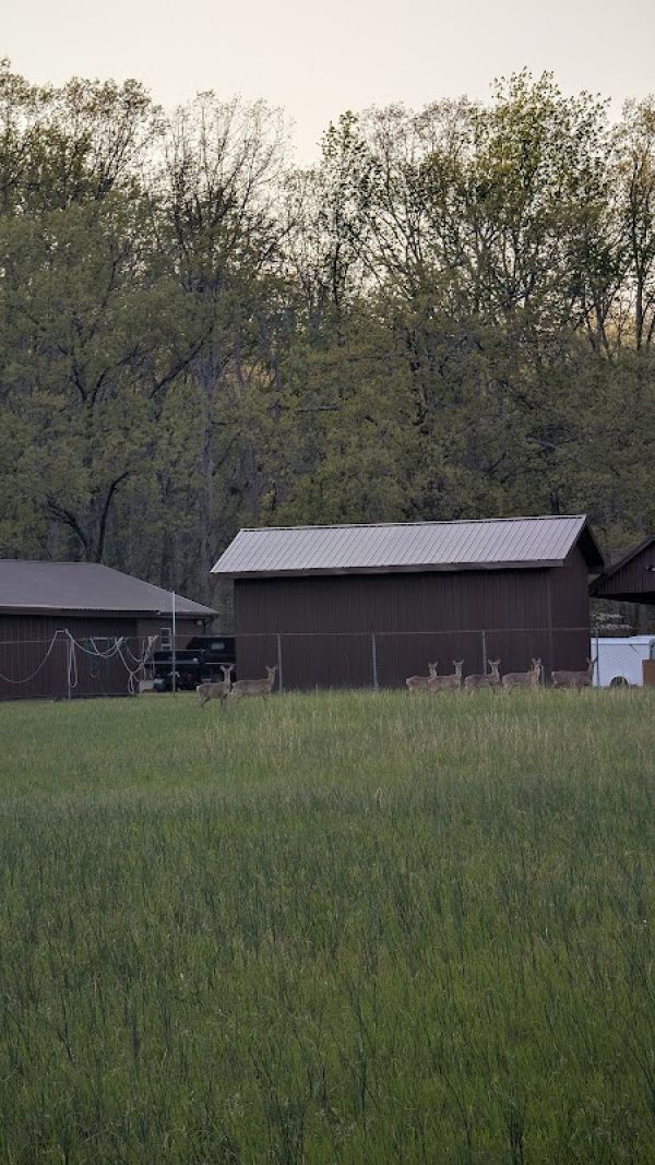 David Crockett State Park Campground No. 1