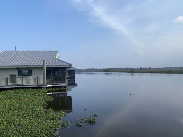 Bayou Segnette State Park Campground