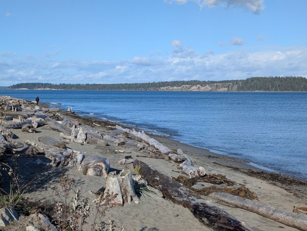 Island View Beach Regional Park Campground