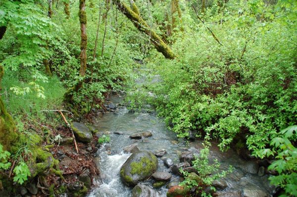 Bothe-Napa Valley State Park Campground