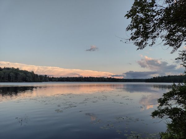 Tobyhanna State Park Campground
