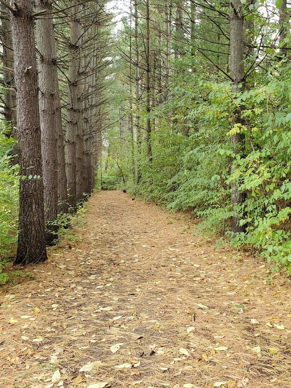 Timber Hill Reservable Area