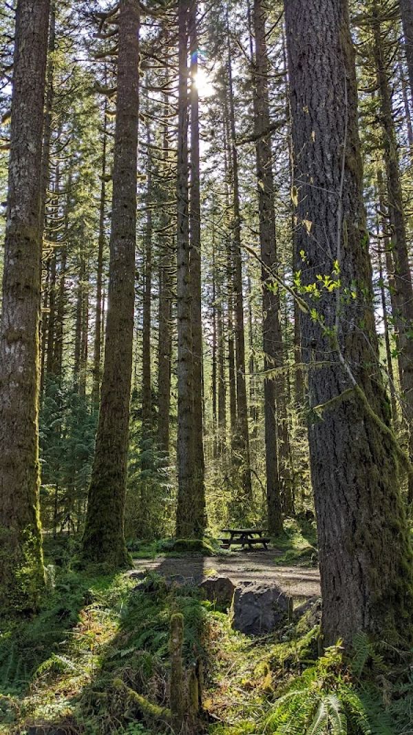 Fall Creek Campground