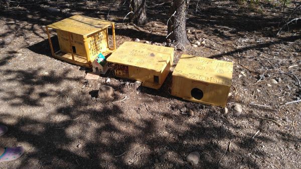 Shady Dell Campground