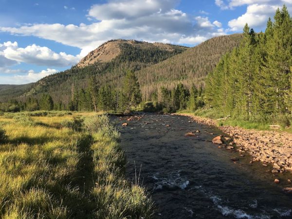 East Fork Campground