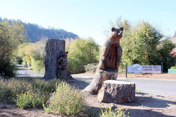 Duncans Mills Camping Club on the Russian River