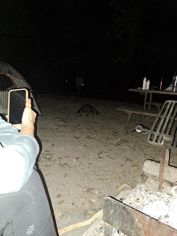 Mud Lake East Campgrounds