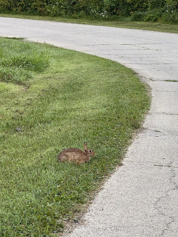 Prairie View Campgrounds