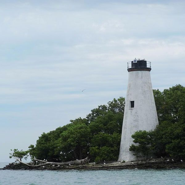 Wild Wings Campground & Marina