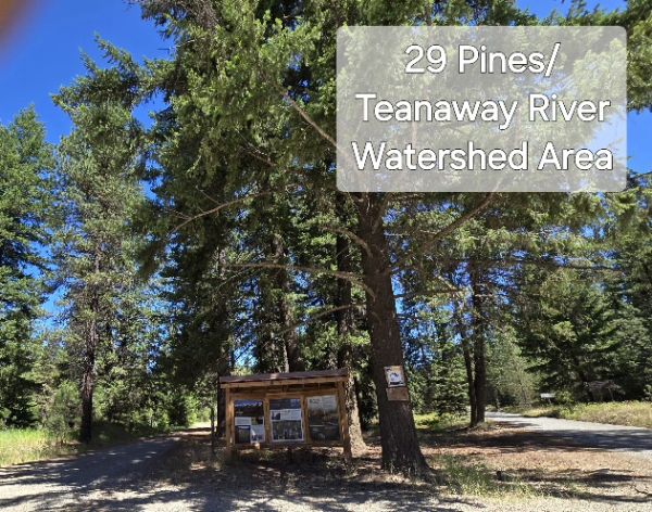 Twenty-Nine Pines Campground