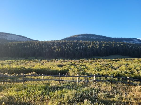 Bald Mountain Campground