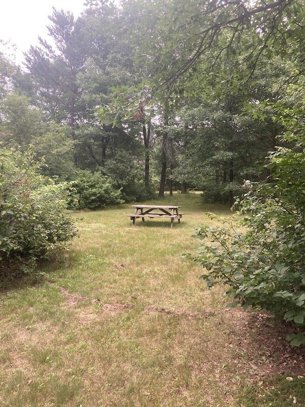 Moonlight Trails Campground