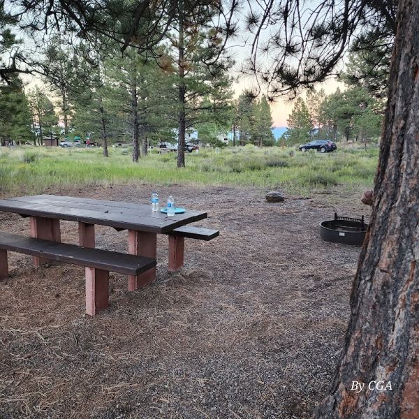Singletree Campground
