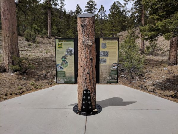 McWilliams Campground