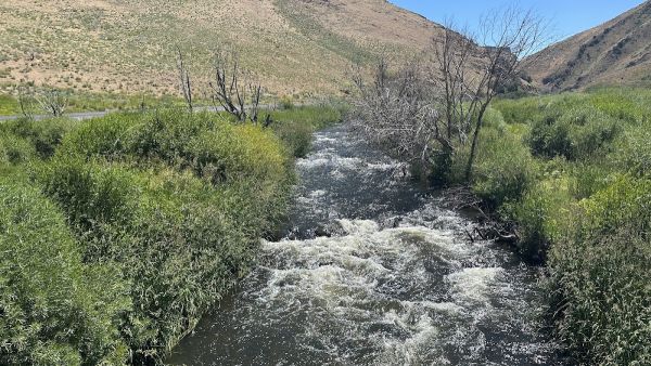 Wildhorse Crossing Campground