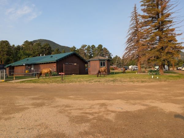 Spruce Grove Campground - Grand Valley RD