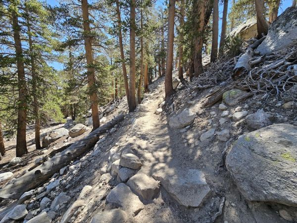 Cottonwood Lakes Trailhead Campground