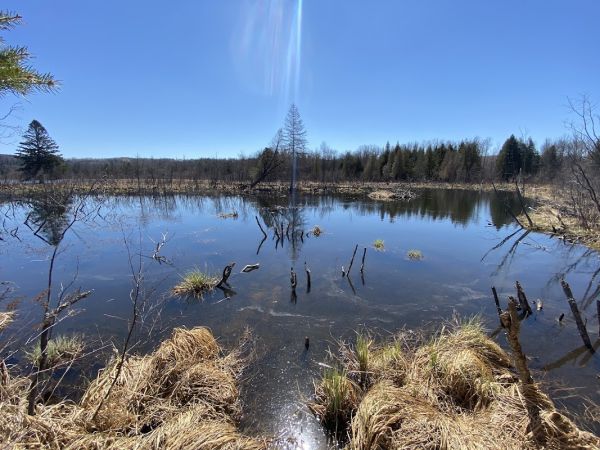 Lost Lake Backpack Campsite