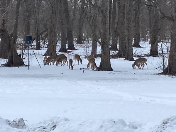 Chippewa Valley Campground