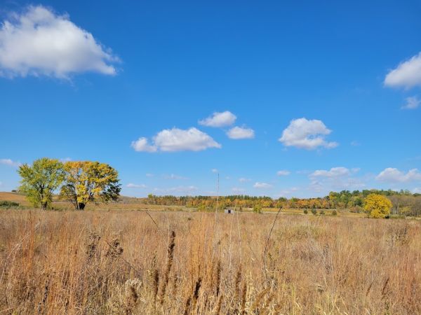 Rogers Park Campground