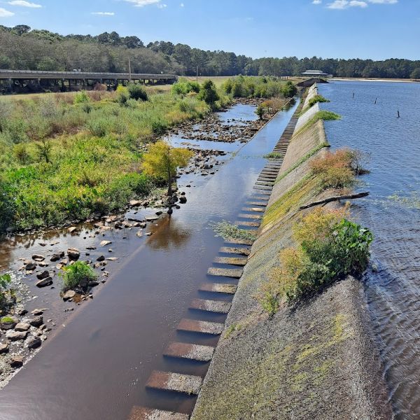 Campground;Reed Bingham State Park campground
