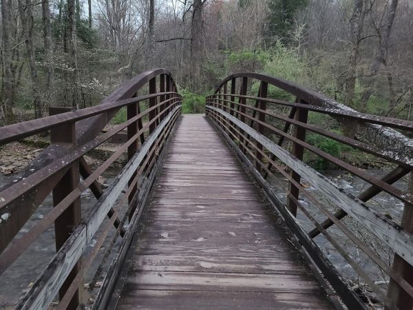 North Mills River Campground