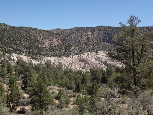 Beaver Dam Campground B