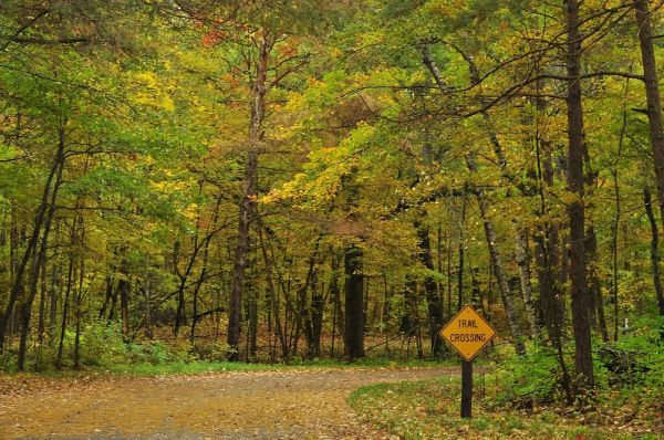 Wild River Group Campsites