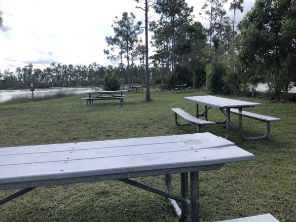 Everglades National Park Long Pine Key