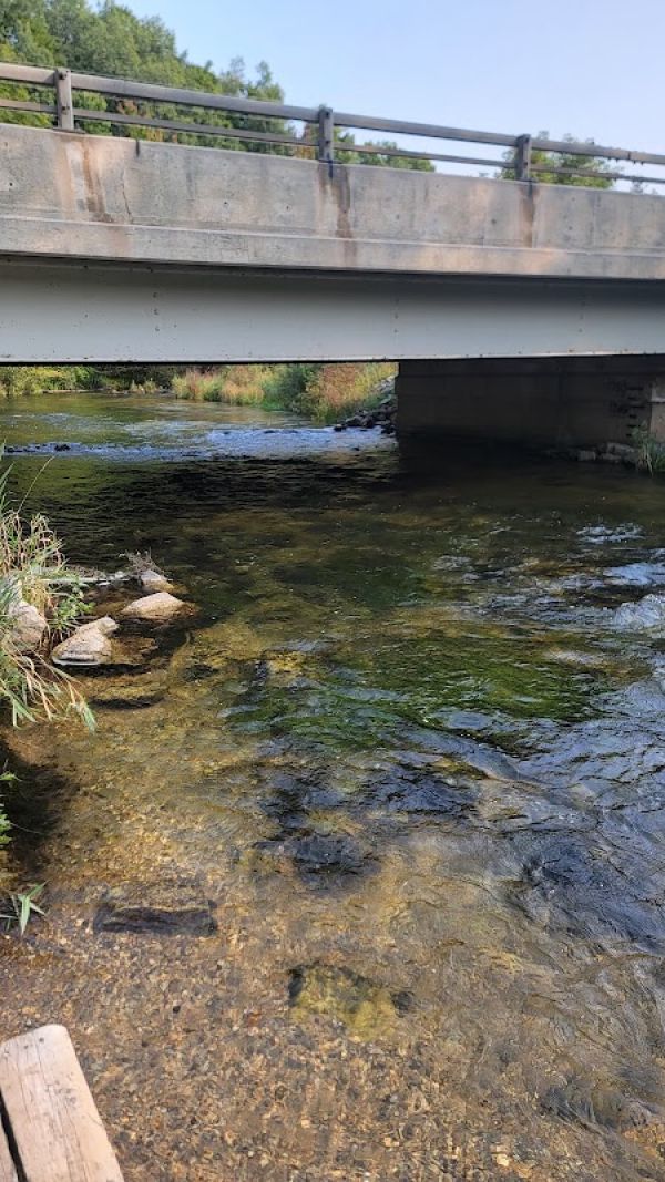 Veterans Memorial State Forest Campground