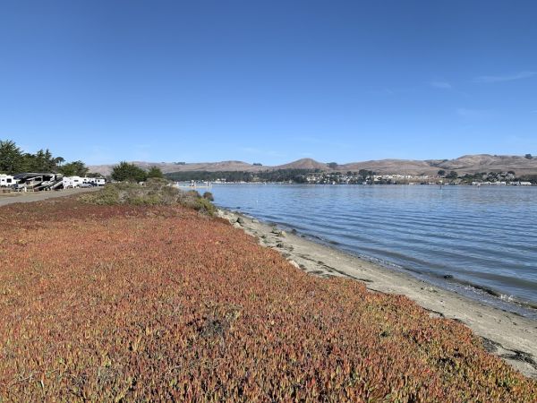 Westside Regional Park Campground