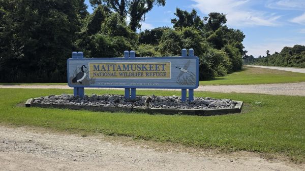 Mattamuskeet Campground
