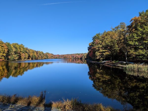 French Creek State Park Campground Loop A