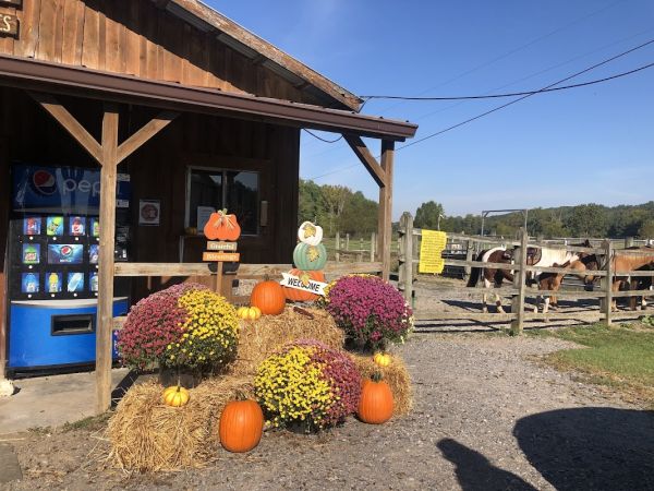 Wranglers Campground