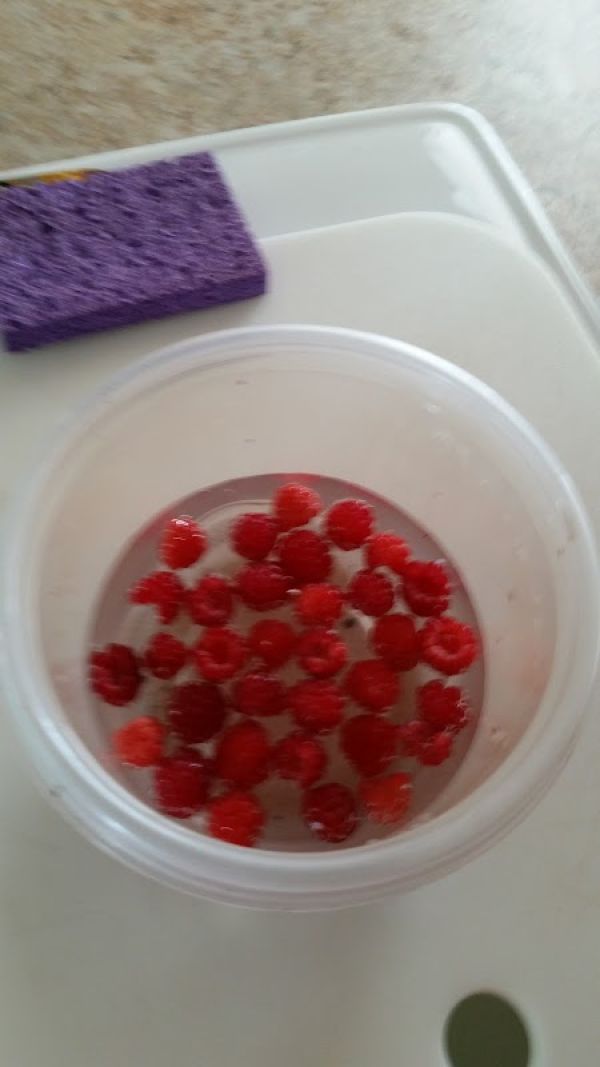 Lake Cameoon RV Park and Campground