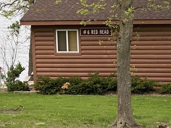 Lake View Campground, Lake Icaria Park