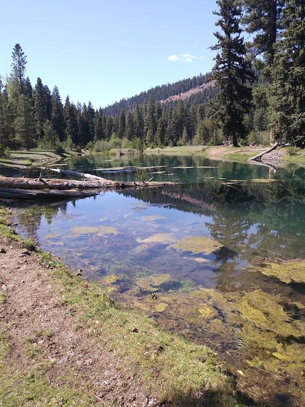 Longmire Stewardship Campground