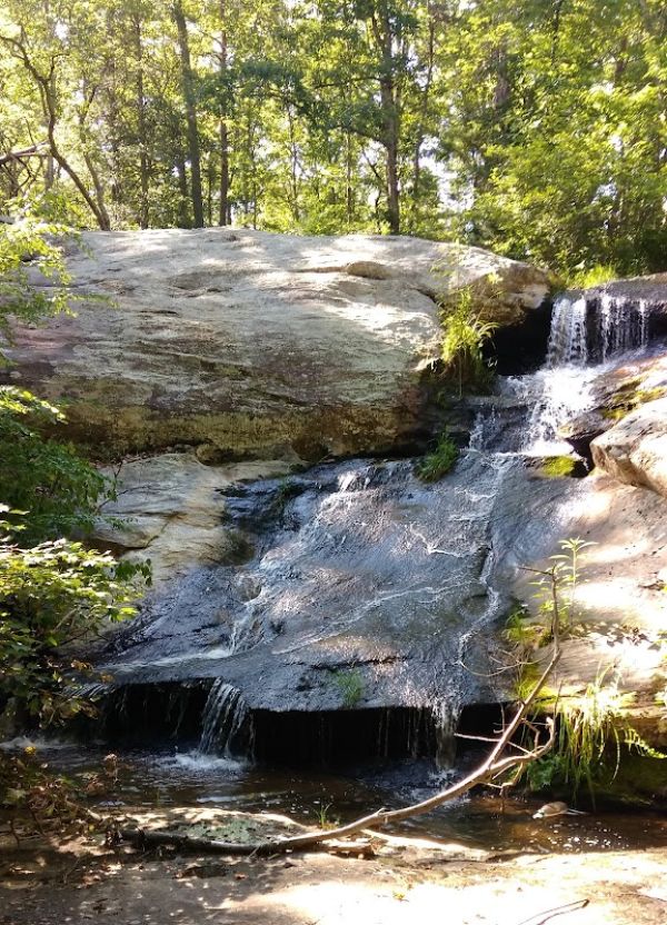 Mountain Trail Stables