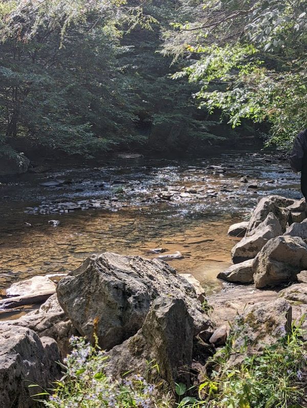 Laurel Fork Campground