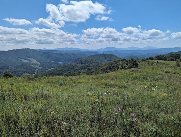 Pond Mountain Hunt Camp