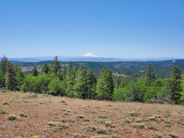 Brooks Memorial State Park Campground