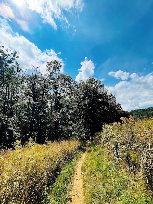 Blue Ridge Regional Park