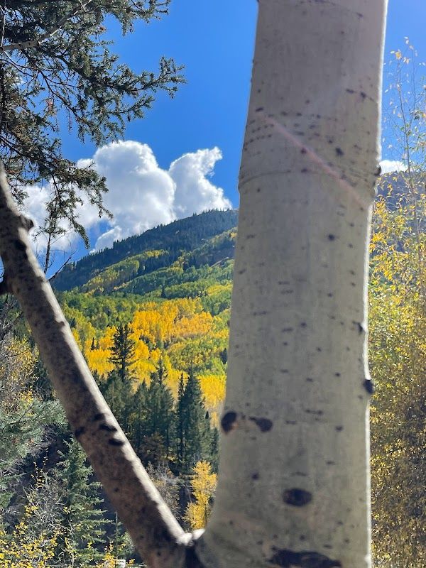 Marble RV Park and Campground