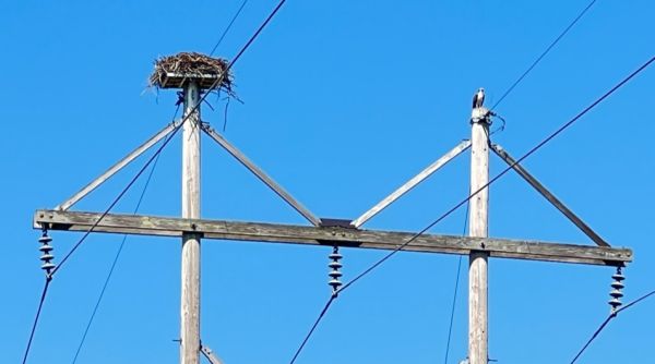 Lake Kegonsa State Park Family Campground