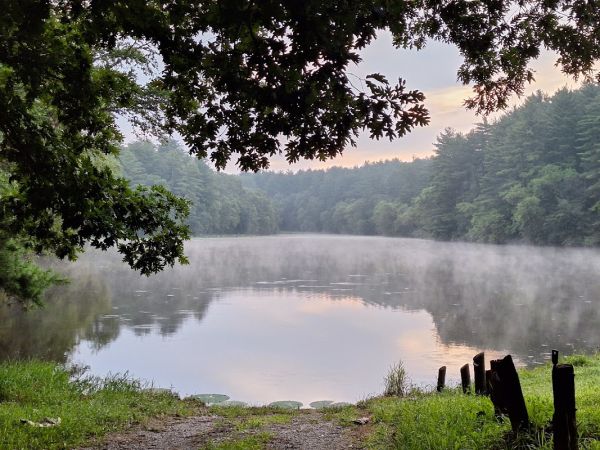 Lick Creek Upper Equestrian Campground