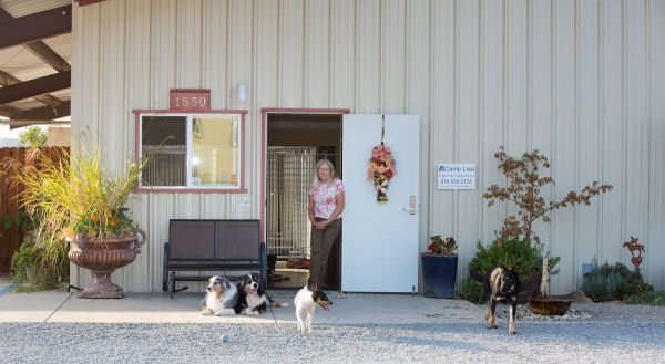 Camp Lisa Group Disabled Access Campground