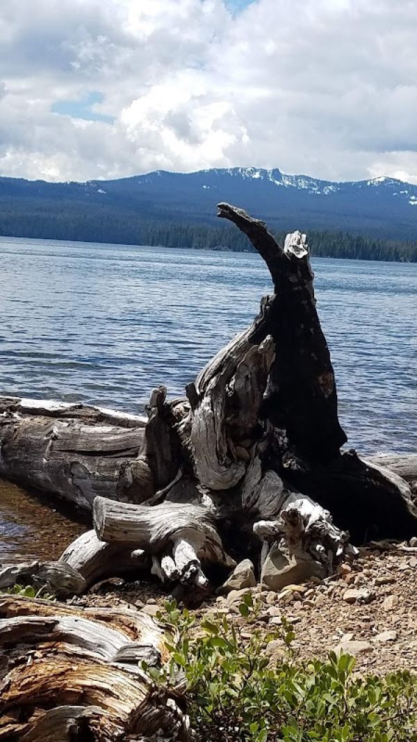 Cultus Lake Campground