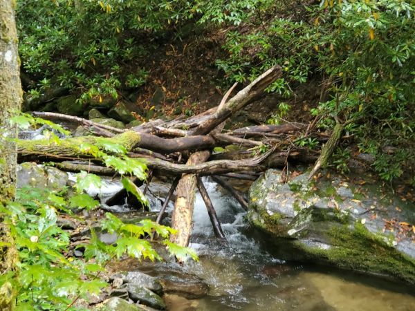Kimsey Creek Group Camp Site A