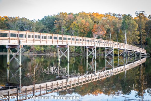 Smallwood State Park Family Campground
